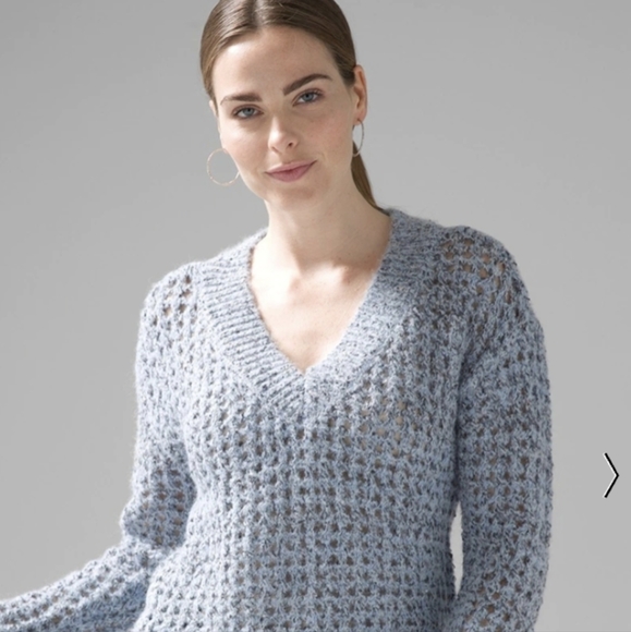 NIB WHBM Open Weave V Neck Sequin Sweater - Picture 3 of 5